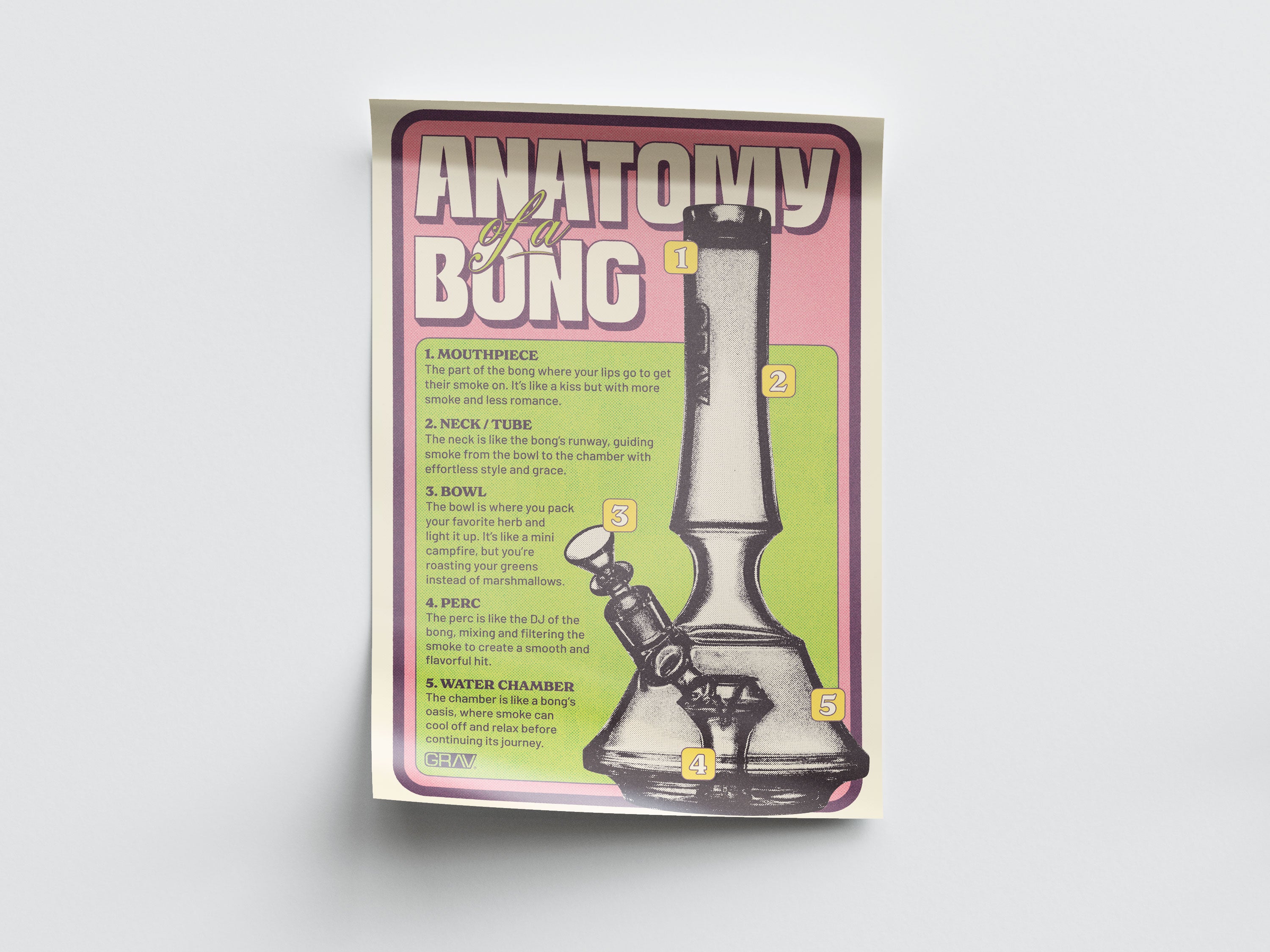 GRAV® Anatomy of a Bong Poster, 16 x 24"