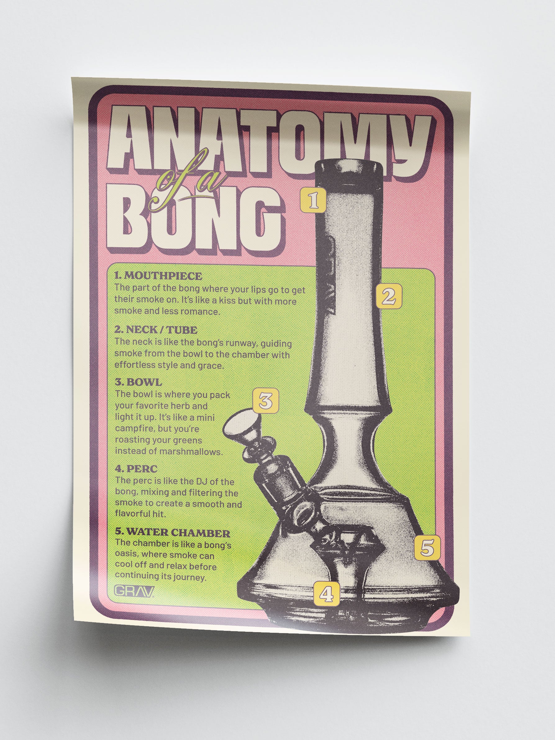 GRAV® Anatomy of a Bong Poster, 16 x 24"