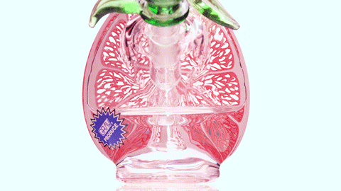 GRAV® Fruit Slice Bubbler